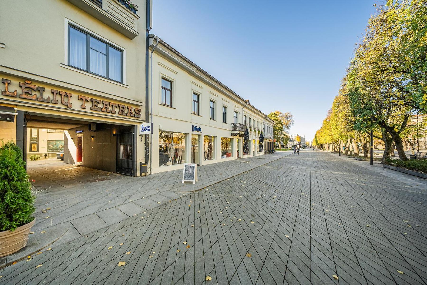Central Park Apartments - The Luxury Collection Kaunas Extérieur photo
