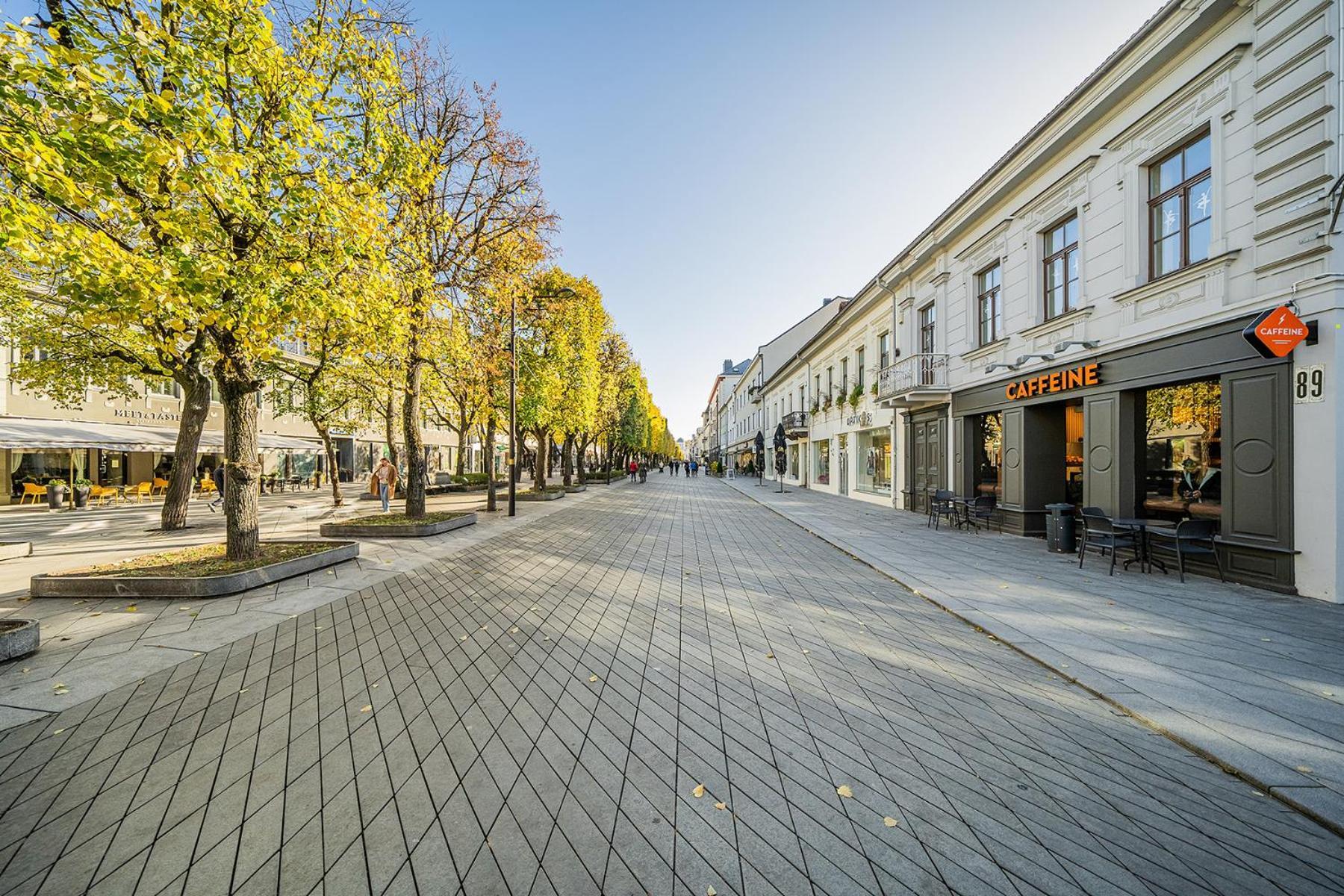 Central Park Apartments - The Luxury Collection Kaunas Extérieur photo
